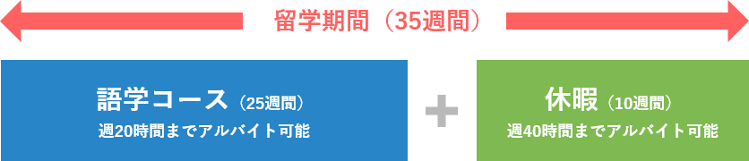 アイルランド留学